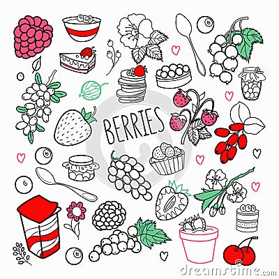Berries Hand Drawn Doodle. Outline Berry Set with Grape, Cherry and Strawberry Vector Illustration
