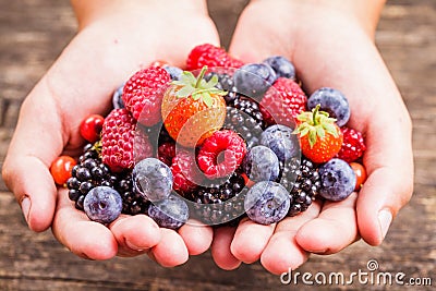 Berries in hands Stock Photo