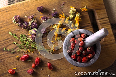 Berries and herbs Stock Photo