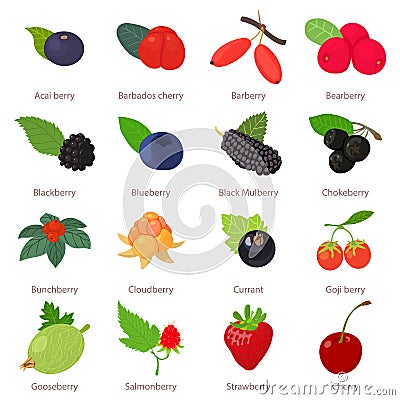 Berries icons set, cartoon style Vector Illustration