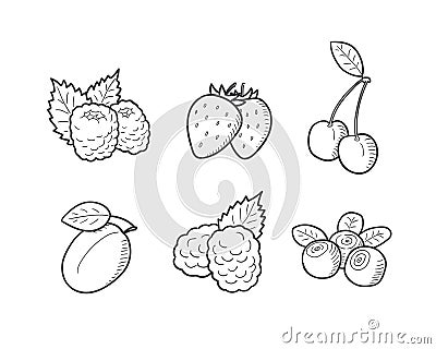 Berries Illustrations Set Vector Illustration