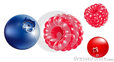 Berries. Ð¡lose-up. Raspberries, blueberries, strawberries. Berry background. Vector Illustration