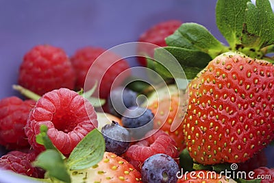 Berries Stock Photo