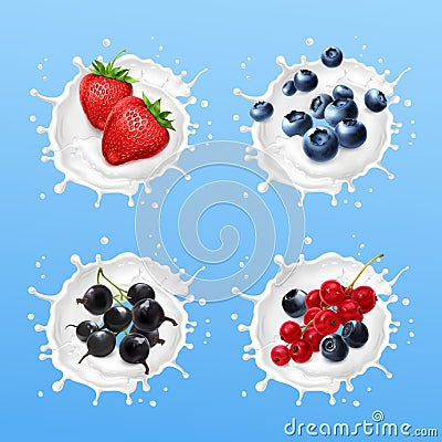 Berries in milk splash. Currants, strawberry, blueberries, bog whortleberry Vector Illustration