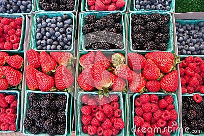 Berries and more berries Stock Photo