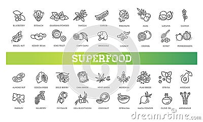 Superfoods line vector icons. Organic superfoods Vector Illustration