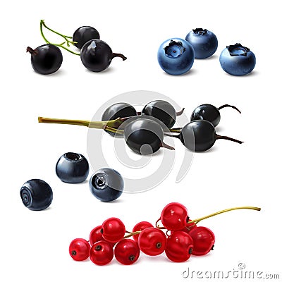 Berries set, realistic illustration. Currants, blueberries, bog whortleberry Vector Illustration