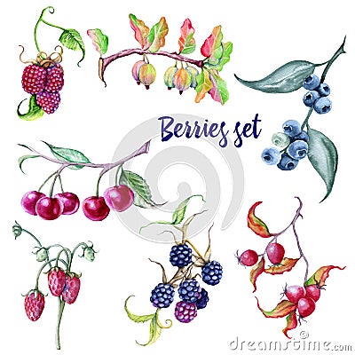 Berries set. Rosehips and blueberries blackberries strawberries raspberries gooseberries cherries. Cartoon Illustration