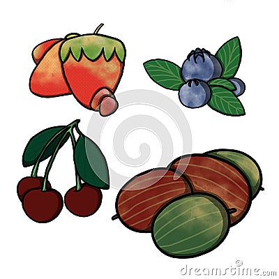 Berries set vector Illustration. Collection of clip art berries isolation on white background. Stock Photo