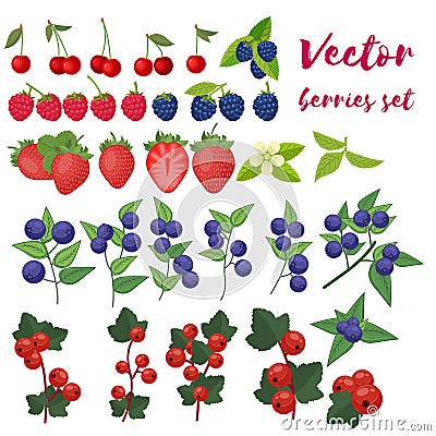 Berries Set Vector Illustration. Strawberry, Blackberry, Blueberry, Cherry, Raspberry, Red currant. Berries and their Vector Illustration