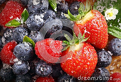 Berry background with water droplets Stock Photo