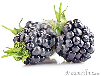 Berry blackberry with green leaf Stock Photo