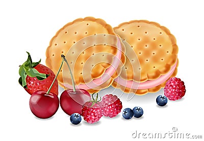 Berry cream cookies Vector realistic. Product placement mock up. Sweet dessert cream splash design. 3d illustrations Cartoon Illustration