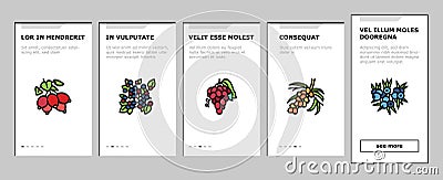 Berry Delicious And Vitamin Food Onboarding Icons Set Vector Stock Photo