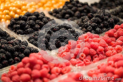 Berry Fruit Stock Photo