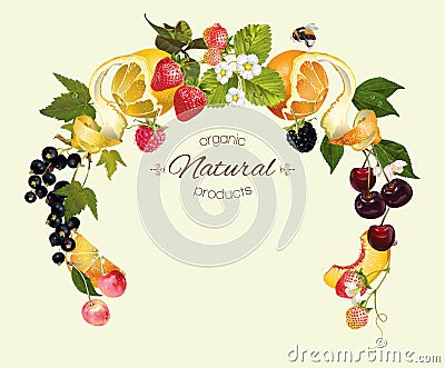 Berry fruit wreath Vector Illustration