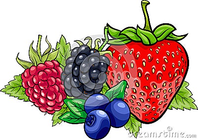 Berry fruits cartoon illustration Vector Illustration