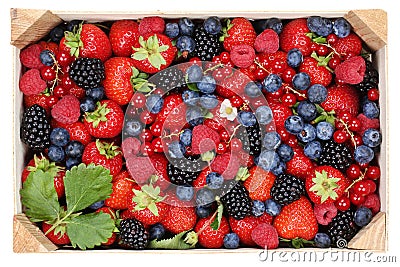 Berry fruits in wooden box with strawberries, blueberries and ch Stock Photo