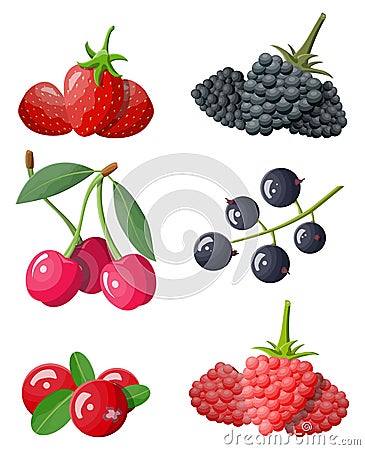 Berry icon set. Vector Illustration