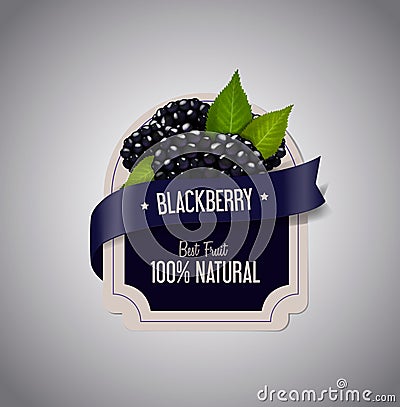 Berry Label with ripe blackberry with green leaves. Blackberry jam label design template Stock Photo