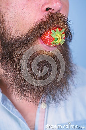 Berry male mouth surrounded beard mustache. Male face beard try strawberry. Gastronomic pleasure. Man eat sweet Stock Photo