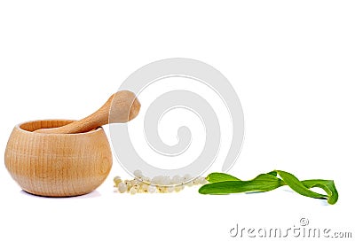 Berry of Mistletoe with green leaves and mortar isolated on a white Stock Photo