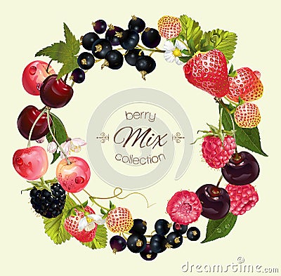 Berry mix composition Vector Illustration