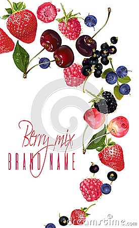 Berry mix falling banner Vector Illustration