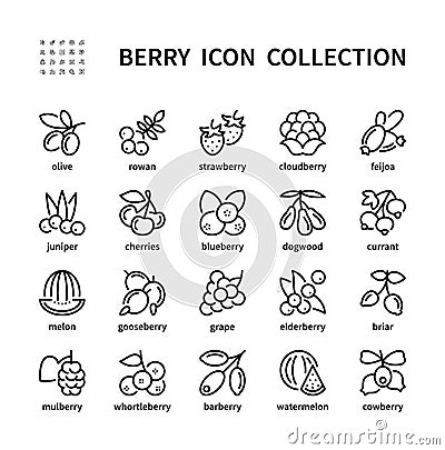 Berry simple set of vector linear icons. Isolated collection of berries icons on white background. Vector symbol set of Vector Illustration