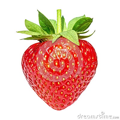 Berry strawberry isolated on white background. Stock Photo