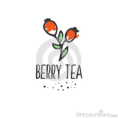 Berry tea print. Briar organic herbal hot drinks pakage design. Vector Illustration