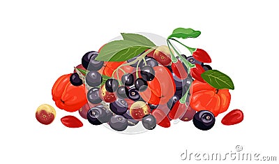 Pile of different tropical berry. Acerola, maqui berry, acai and goji isolated Vector Illustration
