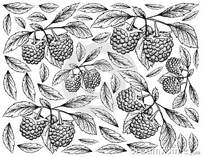 Hand Drawn Background of Blue Raspberry Fruits Vector Illustration