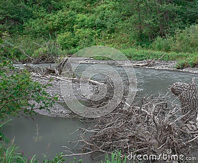Bertha Creek in Turnagain Pass Stock Photo