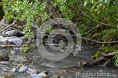 Bertha Creek in Turnagain Pass Stock Photo