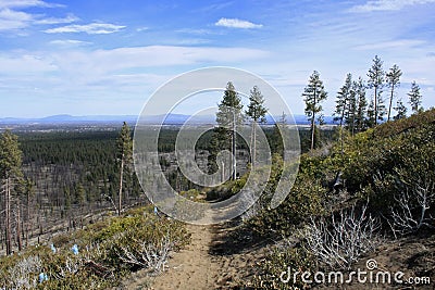 Bessie Butte Trail Stock Photo