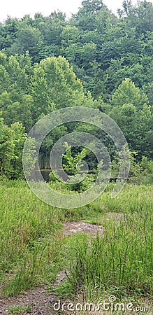 Best camping trip Stock Photo