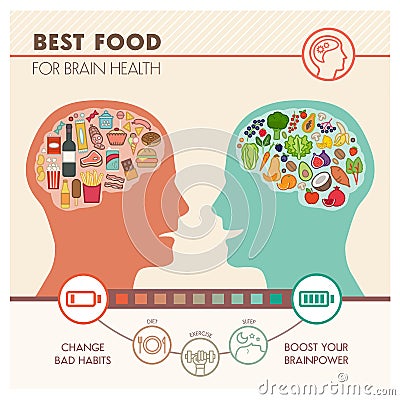 Best food for brain Vector Illustration