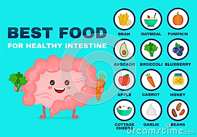 Best food for strong intestine Vector Illustration