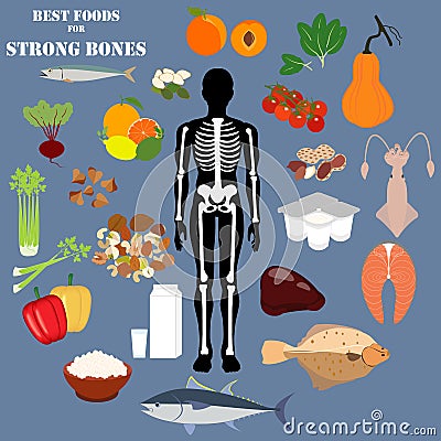 Best foods for strong bones vector illustration Vector Illustration