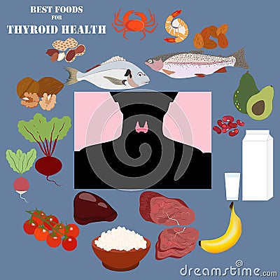 Best foods for thyroid health vector illustration Vector Illustration