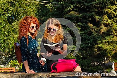 Best girlfriends are reading book in park. Stock Photo