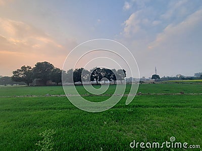 Best Green beauty Stock Photo