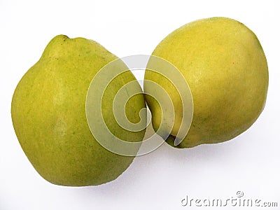 Best quince fruit pictures for advertising and logo designs Stock Photo