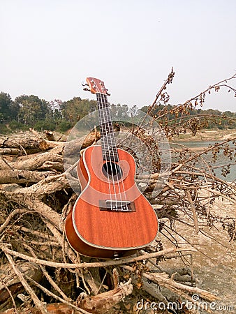 The Best Stock Image of Ukulele Instrument with natural environment, A hand of music. Nature Sounds-Nature Music - nature lovers Stock Photo