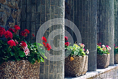 Best view of stone wall and red flower Stock Photo