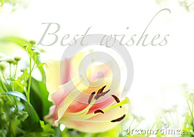 Best Wishes Stock Photo