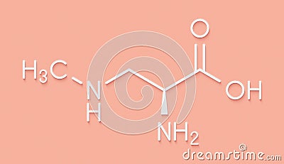 beta-Methylamino-L-alanine BMAA toxic amino acid molecule. Produced by cyanobacteria. Skeletal formula. Stock Photo