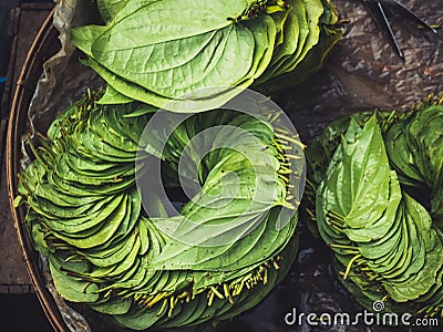 Betel leaf stack in Basket Top view Asian herb Food and medicine Stock Photo