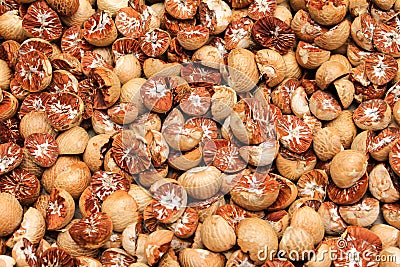 Betel nut or areca nut dried texture background Stock Photo